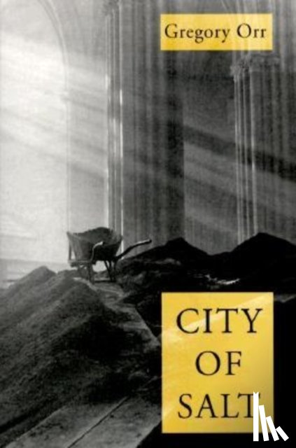 Orr, Gregory - City Of Salt