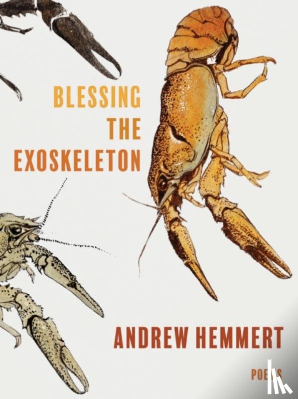 Hemmert, Andrew - Blessing the Exoskeleton