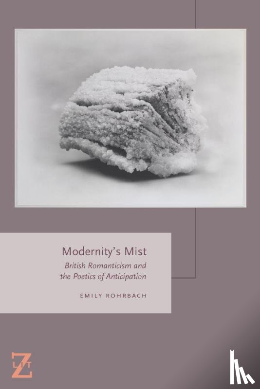 Rohrbach, Emily - Modernity's Mist