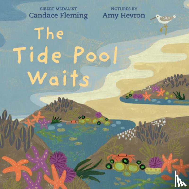 Fleming, Candace - The Tide Pool Waits