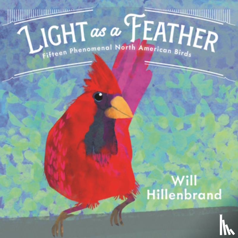 Hillenbrand, Will - Light as a Feather: Fifteen Phenomenal North American Birds