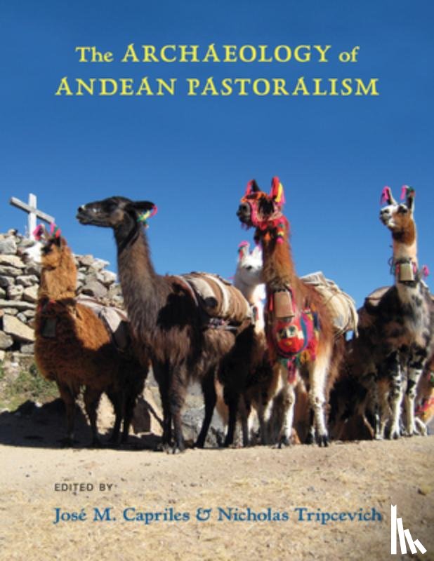  - The Archaeology of Andean Pastoralism