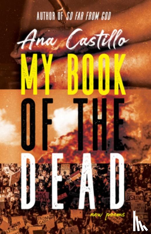 Castillo, Ana - My Book of the Dead
