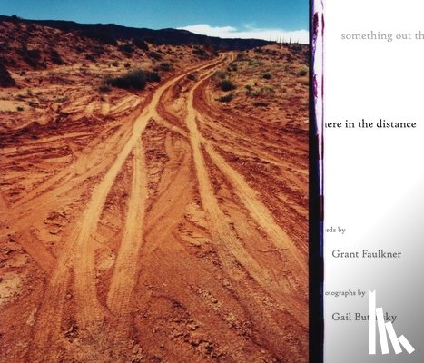 Faulkner, Grant - Something Out There in the Distance