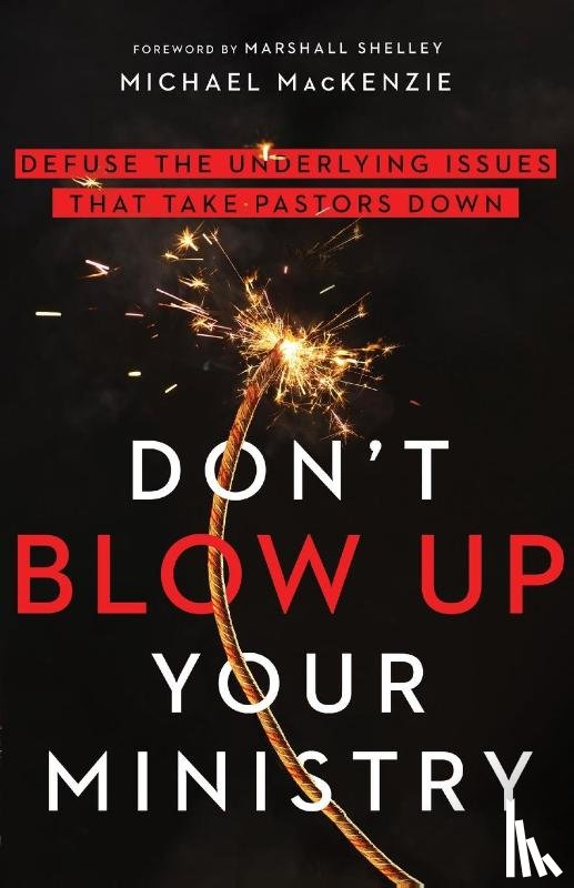 Mackenzie, Michael, Shelley, Marshall - Don`t Blow Up Your Ministry – Defuse the Underlying Issues That Take Pastors Down