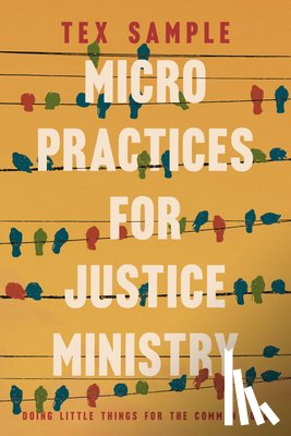 Sample, Tex - Micro Practices for Justice Ministry: Doing Little Things for the Common Good
