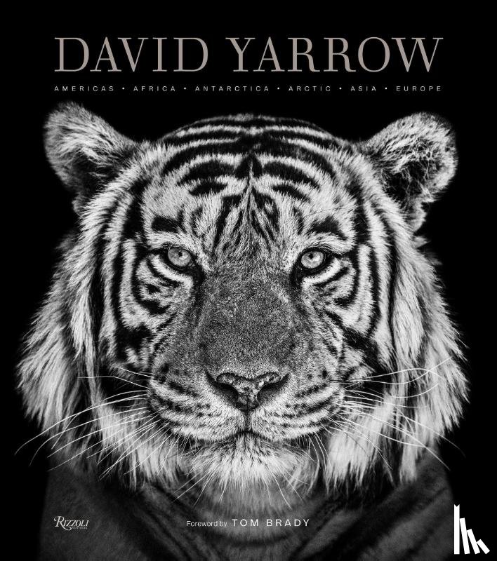Yarrow, David, Brady, Tom - David Yarrow Photography - Americas Africa Antarctica Arctic Asia Europe
