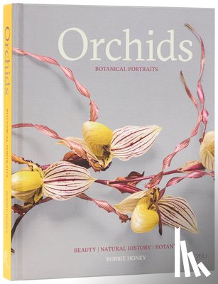 Honey, Robbie, Connolly, Shane - Orchids: Botanical Portraits
