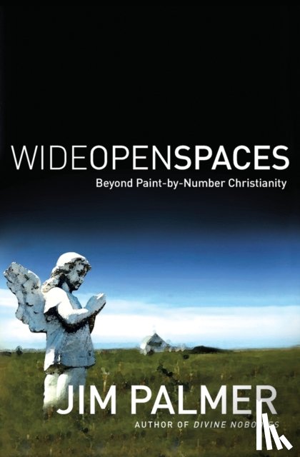 Palmer, Jim - Wide Open Spaces