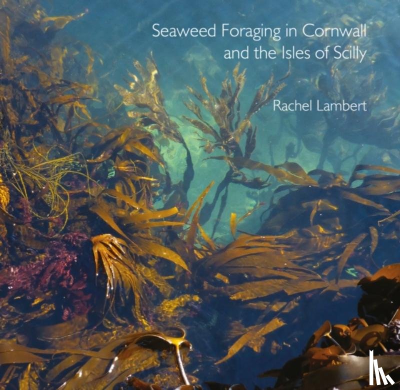  - Seaweed Foraging in Cornwall and the Isles of Scilly