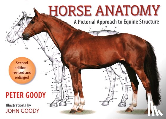 Goody, Peter - Horse Anatomy