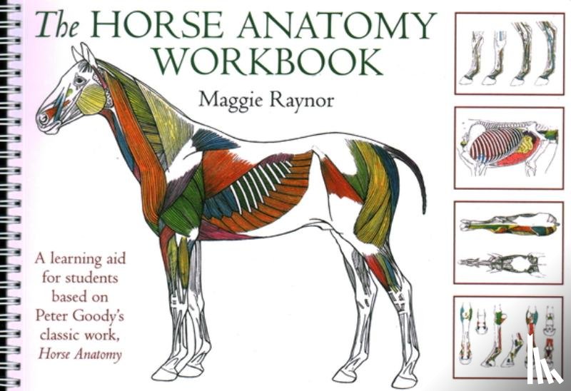 Raynor, Maggie - Horse Anatomy Workbook