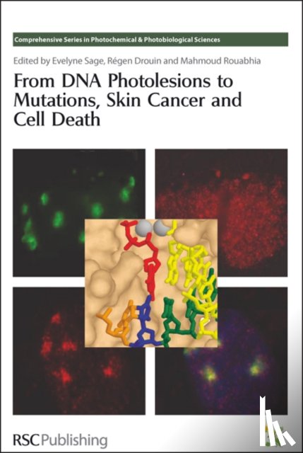  - From DNA Photolesions to Mutations, Skin Cancer and Cell Death