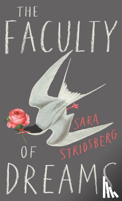 Stridsberg, Sara - The Faculty of Dreams