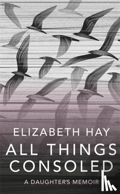 Hay, Elizabeth - All Things Consoled