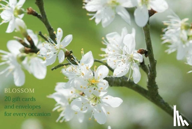 Peony Press - Blossom