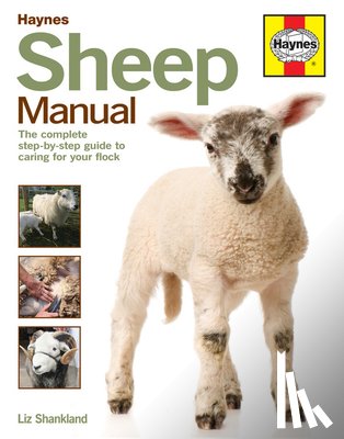 Shankland, Liz - Sheep Manual
