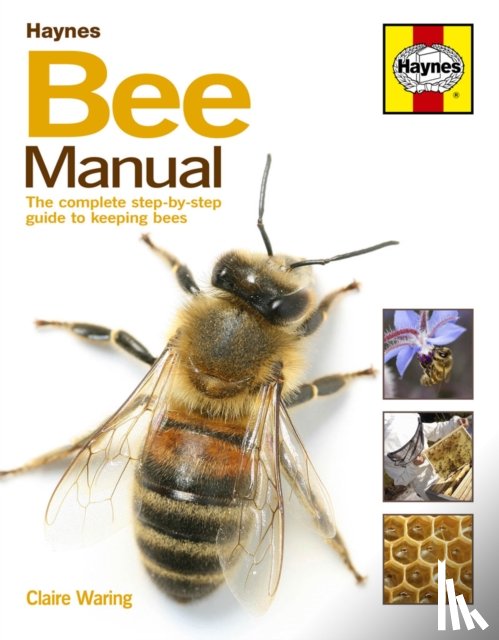 Waring, Claire - Bee Manual