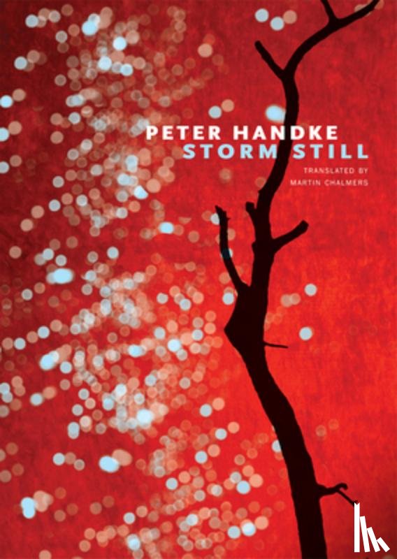 Handke, Peter - Storm Still