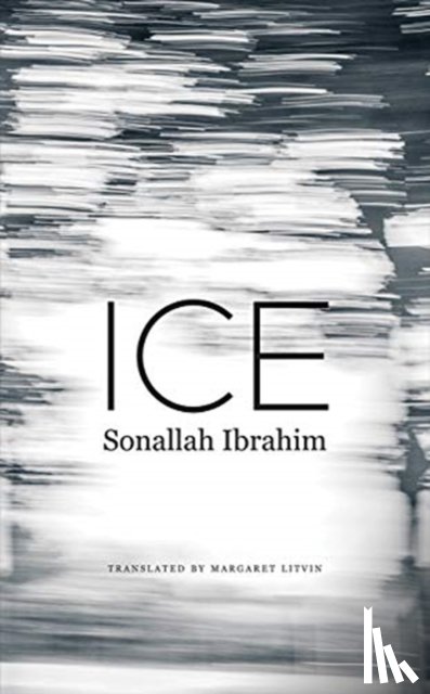 Ibrahim, Sonallah - Ice