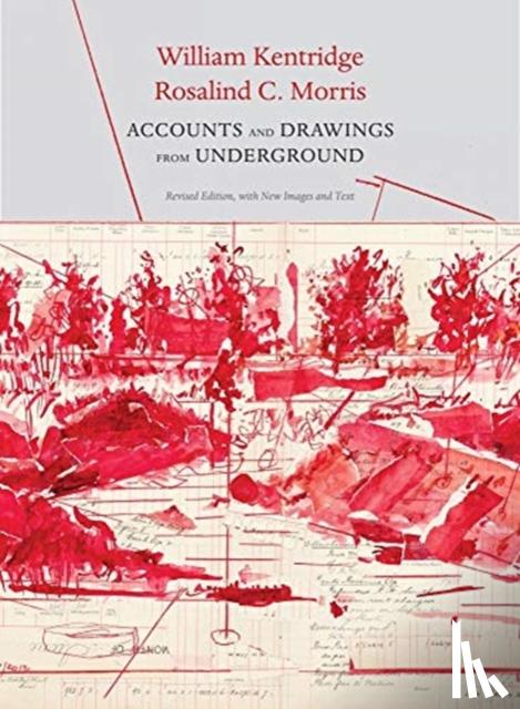 Kentridge, William, Morris, Rosalind C - Accounts and Drawings from Underground