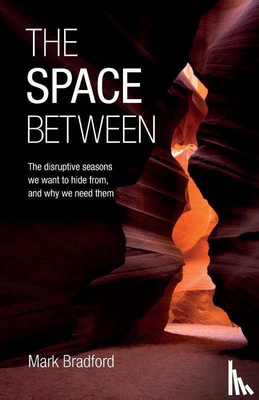 Bradford, Mark - The Space Between