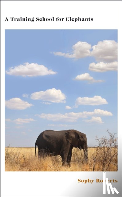 Roberts, Sophy - A Training School for Elephants