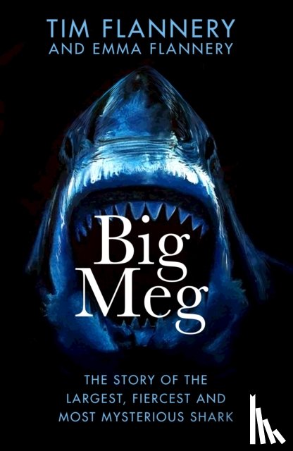 Flannery, Tim, Flannery, Emma - Big Meg