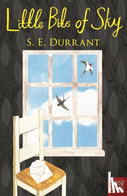 Durrant, S. E. - Little Bits of Sky