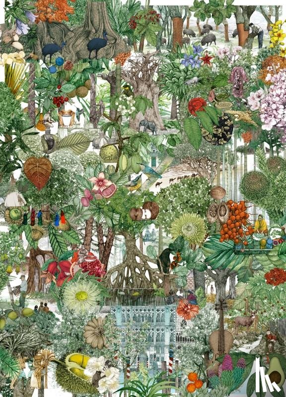 Drori, Jonathan - Around the World in 50 Trees