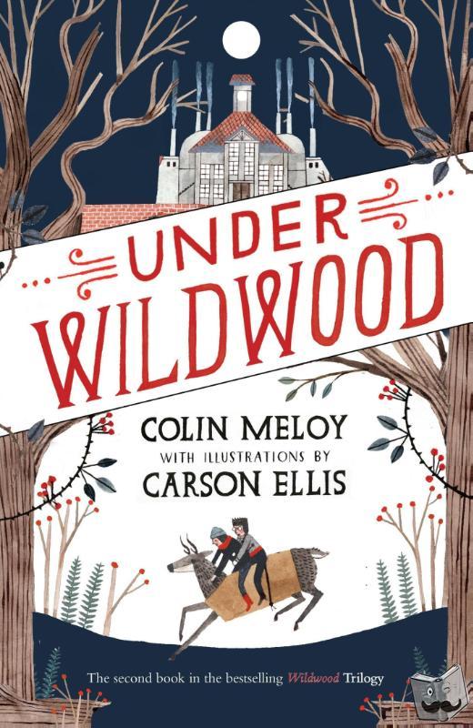 Meloy, Colin - Under Wildwood