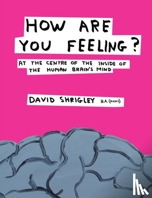 Shrigley, David - How Are You Feeling?