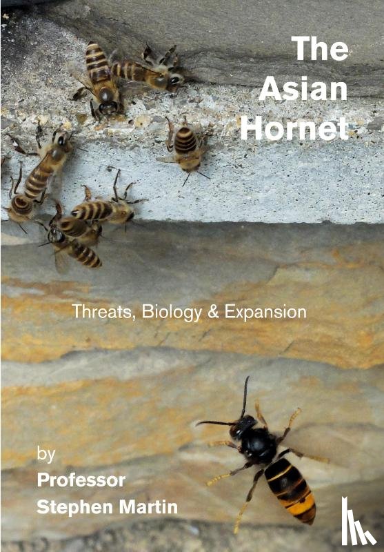 Martin, Stephen - The Asian Hornet