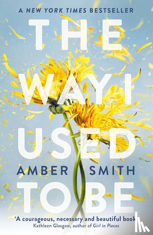 Smith, Amber - The Way I Used to Be