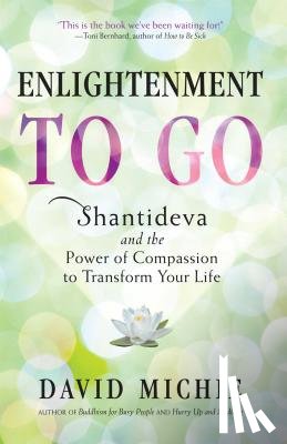 Michie, David - Enlightenment to Go