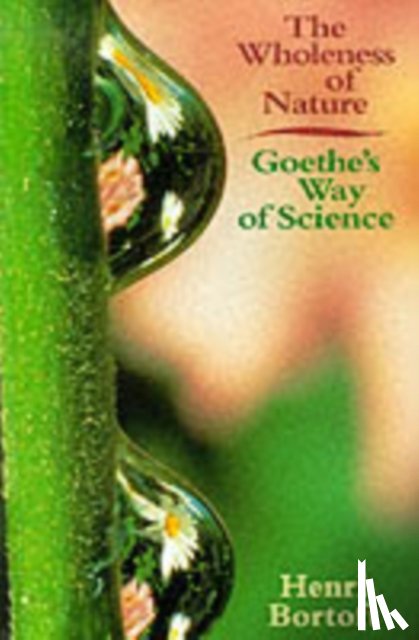 Bortoft, Henri - The Wholeness of Nature