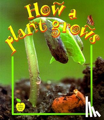 Kalman, Bobbie - HOW A PLANT GROWS