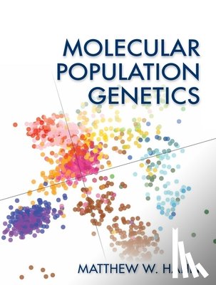 Hahn, Matthew (Professor - Molecular Population Genetics