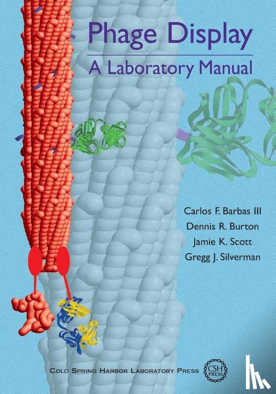 Barbas, Carlos F., Burton, Dennis R., Scott, Jamie K., Silverman, Greg J. - Phage Display