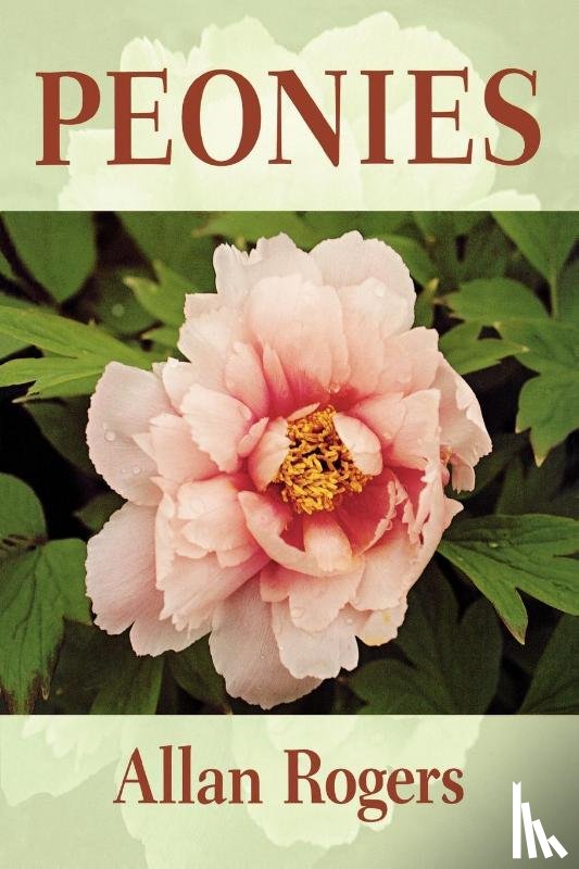 Rogers, Allan - Peonies