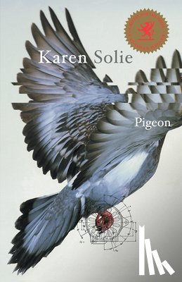 Solie, Karen - PIGEON