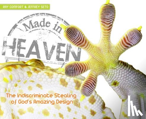 Comfort, Ray - MADE IN HEAVEN