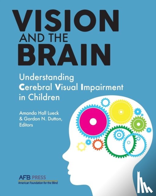  - Vision and the Brain