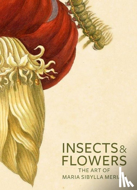 Brafman, . - Insects and Flowers – The Art of Maria Sibylla Merian