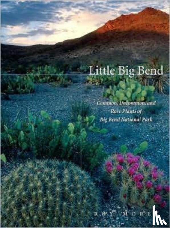 Morey, Roy - Little Big Bend