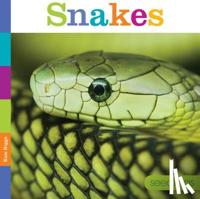 Riggs, Kate - Snakes
