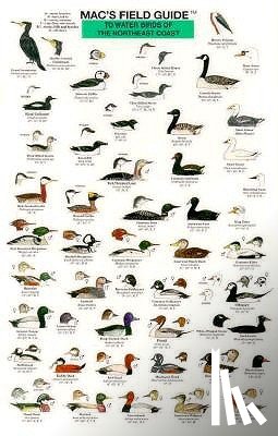 Macgowan, Craig - Mac's Field Guides: Northeast Coastal Water Birds
