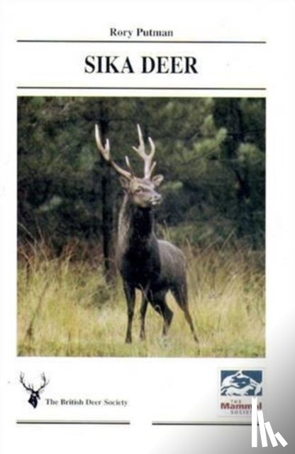 Putman, Rory - Sika Deer