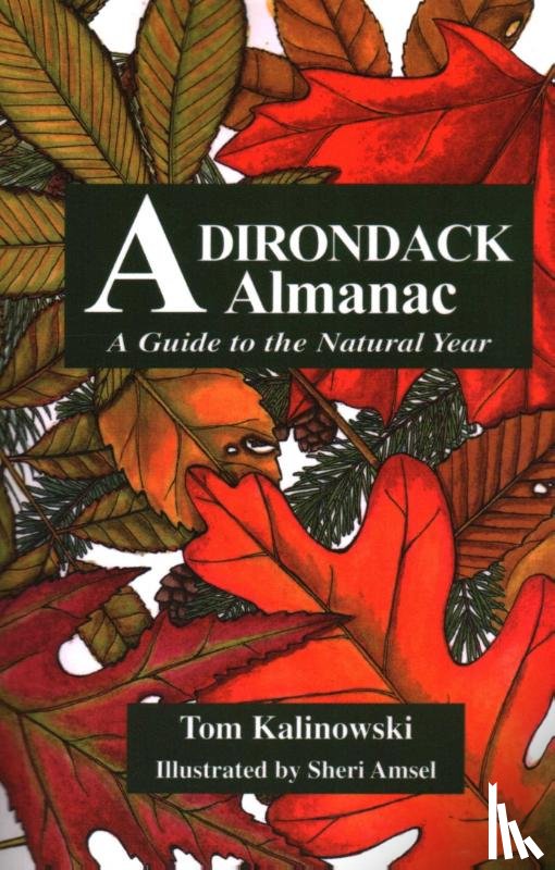 Kalinowski, Tom, Amsel, Sheri - Adirondack Almanac