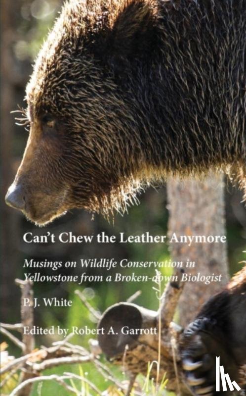 White, P J - Can't Chew the Leather Anymore